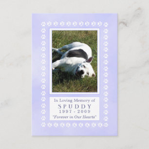 Pet Memorial Card 3.5 "x5" - Himmlischer Blue Pawp Einladung