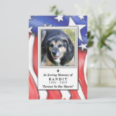 Pet Memorial Card 3.5"x5" - US-Flagge Einladung (Stehend Vorderseite)