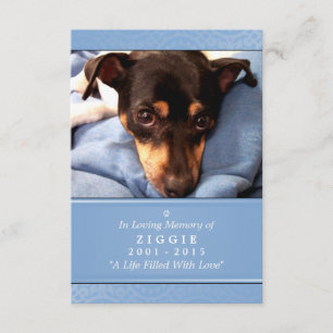Pet Memorial Card 3.5 x 5 Blau nicht abweben Einladung