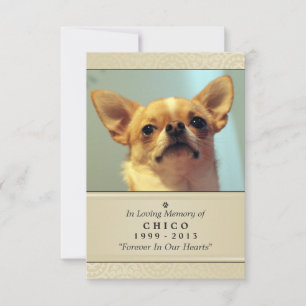 Pet Memorial Card 3.5" x 5" - Creme Modernes Foto Ankündigung
