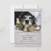 Pet Memorial Card 3.5" x 5" - Grau Modernes Foto Einladung (Vorderseite)