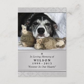 Pet Memorial Card 3.5" x 5" - Grau Modernes Foto Einladung