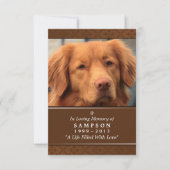 Pet Memorial Card 3.5" x 5" - Mittleres braunes Fo Einladung (Vorderseite)