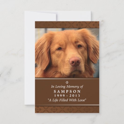 Pet Memorial Card 3.5" x 5" - Mittleres braunes Fo Einladung (Vorderseite)