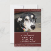 Pet Memorial Card 3.5" x 5" - Rot - Garten Gottes Ankündigung (Vorderseite)
