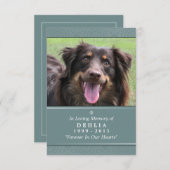 Pet Memorial Card 3.5x5 Aquamarin - Gottesgartenge Ankündigung (Vorne/Hinten)