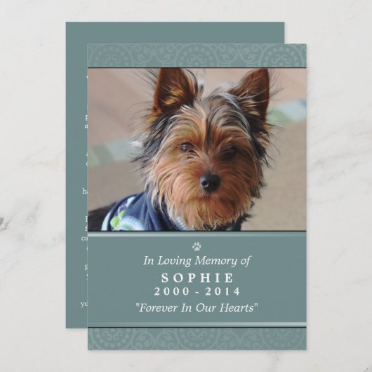 Pet Memorial Card 5"x7" Aquamarine Rainbow Bridge Programm (Vorne/Hinten)