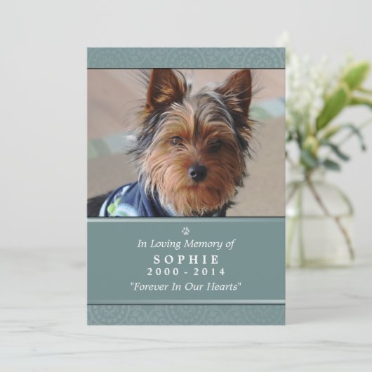 Pet Memorial Card 5"x7" Aquamarine Rainbow Bridge Programm (Stehend Vorderseite)