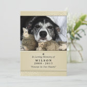 Pet Memorial Card 5"x7" Creme Modernes Foto Einladung (Stehend Vorderseite)