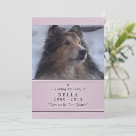 Pet Memorial Card 5"x7" Pink Modern - Weibliche Ha Ankündigung (Stehend Vorderseite)
