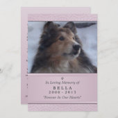 Pet Memorial Card 5"x7" Pink Modern - Weibliche Ha Ankündigung (Vorne/Hinten)