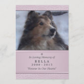 Pet Memorial Card 5"x7" Pink Modern - Weibliche Ha Programm (Vorderseite)