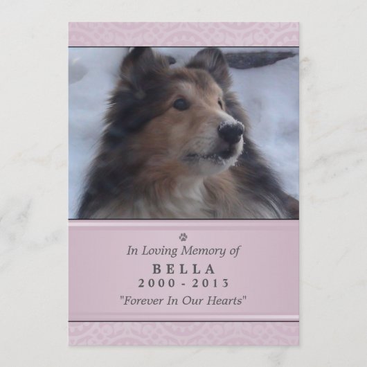 Pet Memorial Card 5"x7" Pink Modern - Weibliche Ha Programm (Vorderseite)