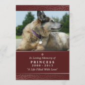 Pet Memorial Card 5"x7" Rainbow Bridge (Female) Programm (Vorderseite)