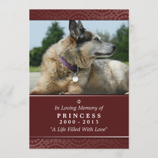 Pet Memorial Card 5"x7" Rainbow Bridge (Female) Programm (Vorderseite)