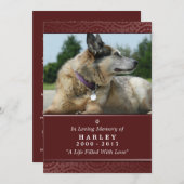 Pet Memorial Card 5"x7" Rainbow Bridge (Männlich) Ankündigung (Vorne/Hinten)