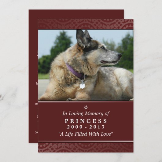 Pet Memorial Card 5"x7" Rainbow Bridge (Männlich) Programm (Vorne/Hinten)