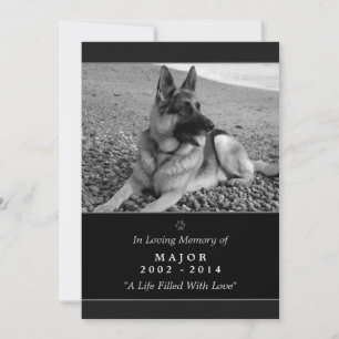 Pet Memorial Card 5"x7" Schwarz - Männliche Hausti Ankündigung