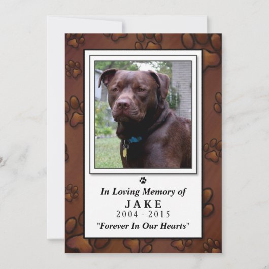 Pet Memorial Card 5 x 7 - Brown Pawprints Einladung (Vorderseite)