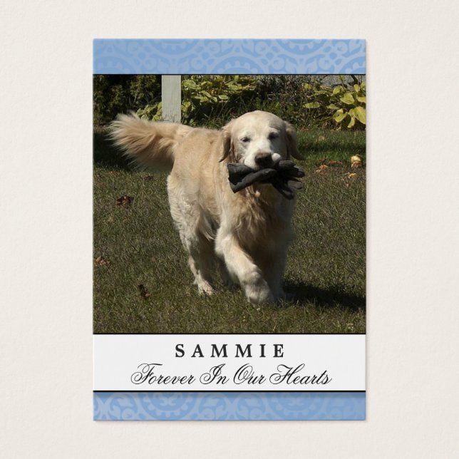 Pet Memorial Card Light Blue God sah Sie Gedicht (Vorderseite)