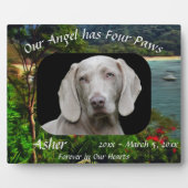 Pet Memorial Engel mit Four Paws 0828 Fotoplatte (Vorderseite)