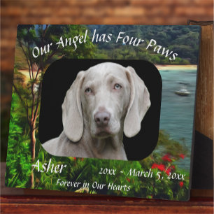 Pet Memorial Engel mit Four Paws 0828 Fotoplatte