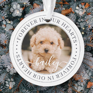 Pet Memorial Forever Hört Elegantes Chic Foto Ornament
