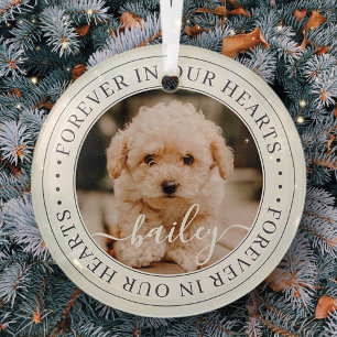 Pet Memorial Forever Hört Elegantes Chic Foto Ornament Aus Glas