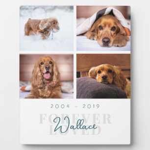 Pet Memorial Forever Loved Elegante 4 Foto Collage Fotoplatte