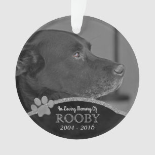 Pet Memorial Foto Paw Drucken Personalisierter Nam Ornament