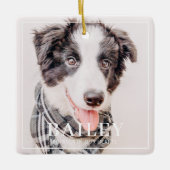 Pet Memorial Keepake für immer in unserem Herz-Fot Keramikornament (Vorderseite)