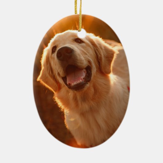 Pet Memorial Keepake Weihnachtsschmuck (Hinten)