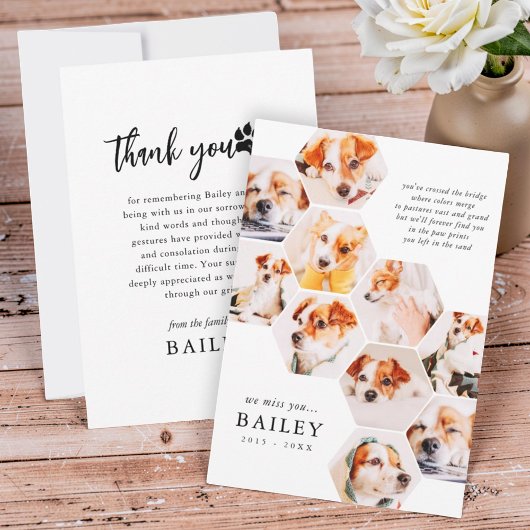 Pet Memorial Modern Simple 10 Photo Collage Dankeskarte