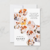 Pet Memorial Modern Simple 10 Photo Collage Dankeskarte (Vorderseite)