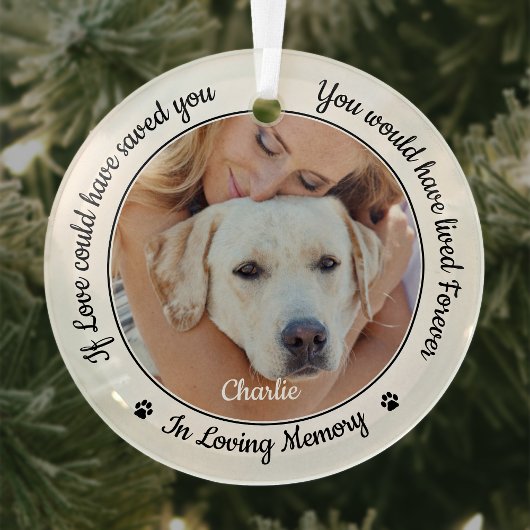 Pet Memorial Modernes Beileid Keepake Dog Foto Ornament Aus Glas