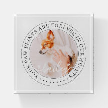 Pet Memorial Paw Prints Hearts Elegantes Chic Foto