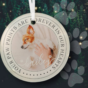 Pet Memorial Paw Prints Hearts Elegantes Chic Foto Ornament Aus Glas