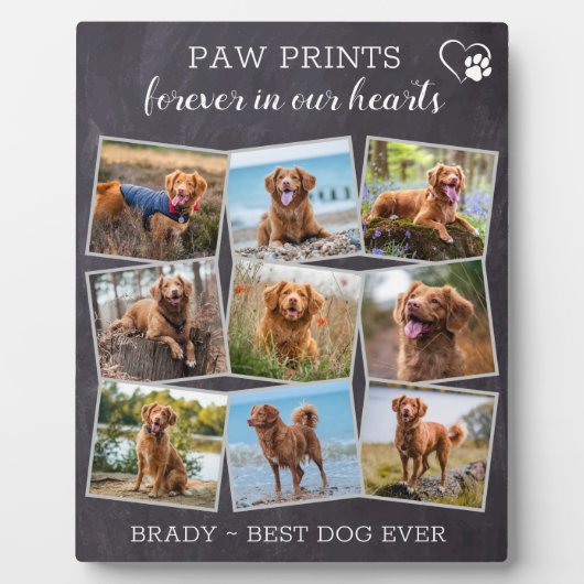 Pet Memorial Personalisiert Paw Prints Dog Foto Fotoplatte (Vorderseite)