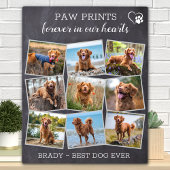 Pet Memorial Personalisiert Paw Prints Dog Foto Fotoplatte