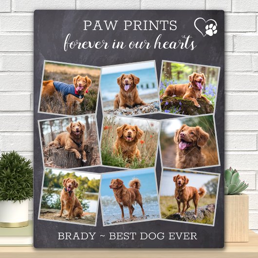 Pet Memorial Personalisiert Paw Prints Dog Foto Fotoplatte