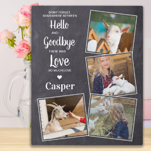Pet Memorial Pet Loss Beileid Keepake 4 Foto Fotoplatte
