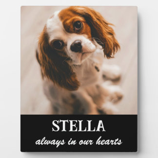 Pet Memorial Picture Plaque Fotoplatte
