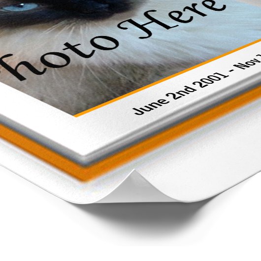 Pet Memorial Postal Print - Religious - Cat Dog Poster (Ecke)