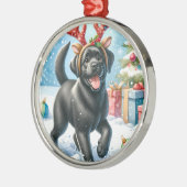 Pet Memorial Red Buffalo Kariert Keepake Dog Foto Silbernes Ornament (Links)