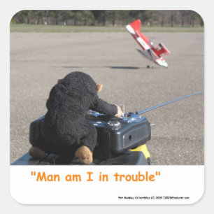 Pet Monkey Crashing Vaters RC Flugzeug Quadratischer Aufkleber