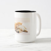 Pet Mug Zweifarbige Tasse (VorderseiteRechts)