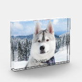 Pet Name Foto Block (Links)