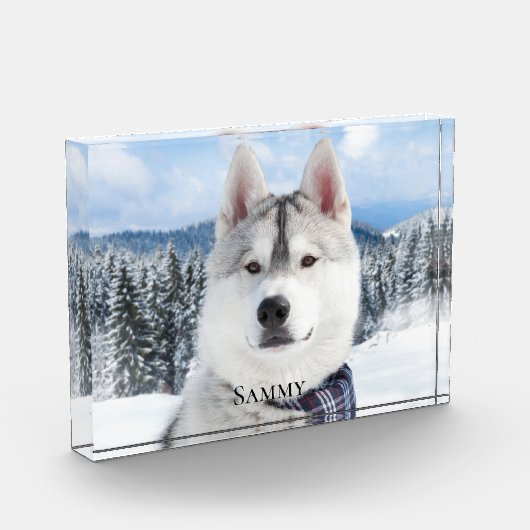 Pet Name Foto Block (Links)