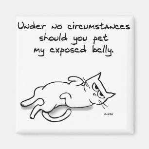 Pet nie den Katzen-Bauch - lustigen Magnet