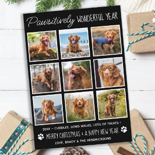 Pet Niedlich Funny Year in Review Hunde Foto Colla Feiertagskarte